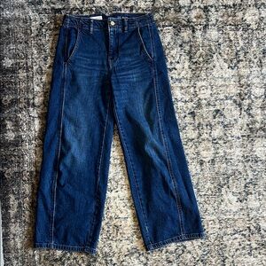 Pilcro Barrel Denim